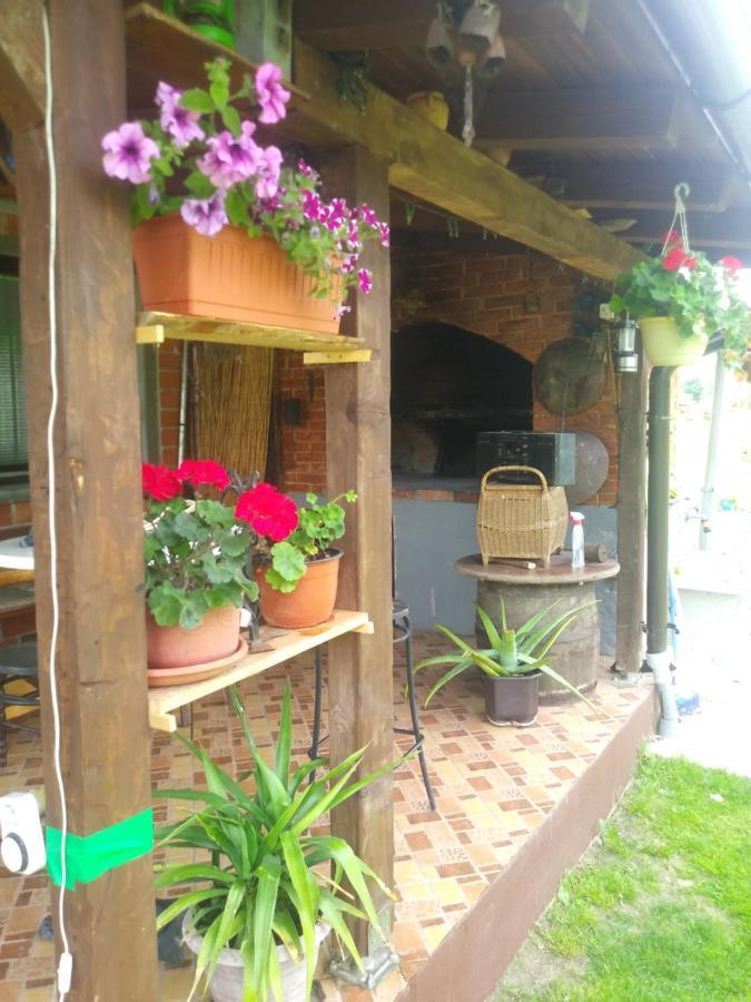 Ribarska Vila Donje Lohovo Luaran gambar
